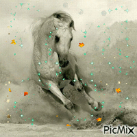 horse - Ingyenes animált GIF