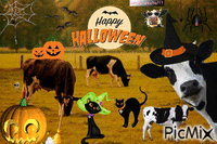 halloween animirani GIF