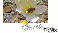 пролет 012 - Безплатен анимиран GIF