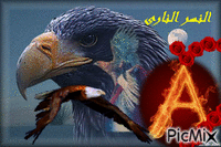 Ahmed eagle - Besplatni animirani GIF