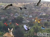 köy - Zdarma animovaný GIF