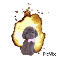 puppy explosion - Gratis geanimeerde GIF