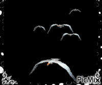 roni214619 - Darmowy animowany GIF