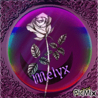 le Rosa Melyx - 免费动画 GIF