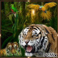 Tigers # and parrots in jungle - GIF animé gratuit