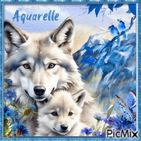 Loup, printemps, aquarelle - Free animated GIF