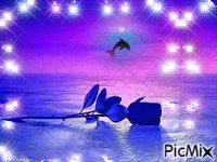 dauphin et rose bleue - GIF animé gratuit