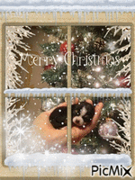 Merry Christmas Window 2019 (JIGGURL_PIXMIXR) - GIF animado gratis