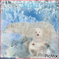 Winter Polar Bears 2020/2021 animowany gif
