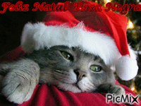 gato natal - GIF animado grátis