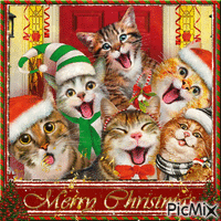 Funny Christmas Cat - GIF animado gratis