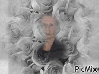 mamae nas rosas - Gratis geanimeerde GIF