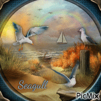 Seagull-RM-02-17-23 - GIF animé gratuit