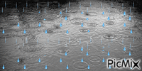 Rainy Day - 無料のアニメーション GIF