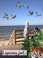 Na morzem - Darmowy animowany GIF