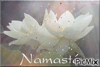 Namasté - GIF animado grátis