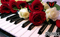 Piano - Darmowy animowany GIF