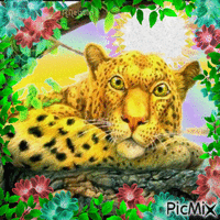 Leopard GIF animé