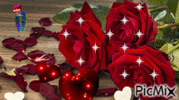 розы - GIF animé gratuit