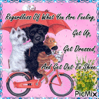 Regardless Of What You Are Feeling, Get Up, Get Dressed, And Get Out To Shine 动画 GIF