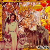 Wolfsrudel im Herbst