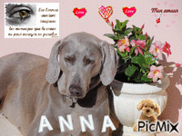 Ma  chienne ANNA - Nemokamas animacinis gif
