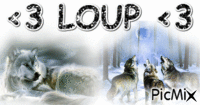 <3 loup <3 - GIF animado grátis