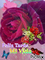 Buenas Tardes mi Amor - Бесплатный анимированный гифка