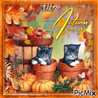 Autumn beauty animovaný GIF