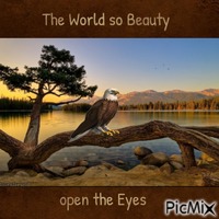 The World so Beauty open the Eyes