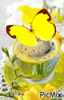 Café - Ilmainen animoitu GIF