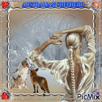 AUSTRALIAN SHEPHERD анимированный гифка