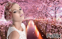 розовая аллея - Kostenlose animierte GIFs