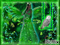 Female elf with owl - Green background