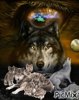 Loups - Besplatni animirani GIF