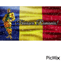 romania romanian flag dio brando - 無料のアニメーション GIF