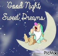 Good Night animasyonlu GIF