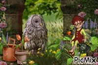 owl GIF animasi