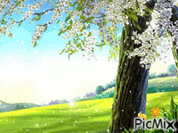 Proleće - Zdarma animovaný GIF
