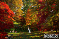 Promenade d'automne - GIF animado gratis
