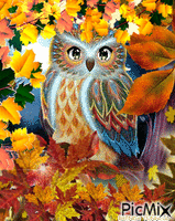 AUTUMN OWL 13 animált GIF