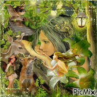 Enchanted Forest 动画 GIF