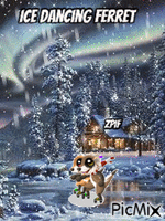 Ice Dancing Ferret - Gratis animerad GIF