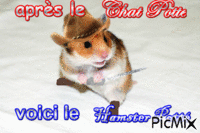 après le chat Potté... voici le hamster Potté - Ilmainen animoitu GIF