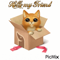 Friendly Kitty - GIF animé gratuit