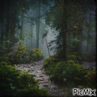 Mystical woods. Animated GIF