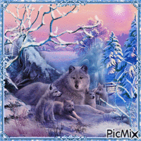 Wölfe im Winter - Blau- und Lilatöne - Gratis geanimeerde GIF