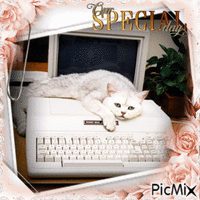 Katze mit Computer - GIF animado gratis