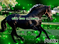 amazona - Darmowy animowany GIF