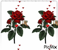çiçek - Besplatni animirani GIF